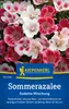 Kiepenkerl Sommerazaleesamen Godetia 100 Pflanzen Produktbild-Vorschau 3