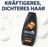 Schauma Men Shampoo HAIR ACTIVATOR 400ml Koffein Zedernholz Produktbild-Vorschau 4