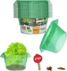 10 Stk Schneckenschutzring Set Schneckenschutz Produktbild-Vorschau 9