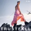 P!nk: (CD / Název: A-G) Náhled obrázku produktu 4