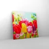 Bild auf Leinwand - Leinwandbild - Tulpe Blume Garten Produktbild-Vorschau 4