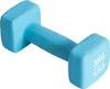 A single blue dumbbell is shown against a white background. Anteprima dell’immagine prodotto