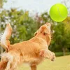 balle de tennis géante extra-large de 9,5 pouces, balle de Voir les images du produit 2