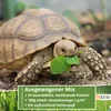 100g Schildkröten Samenmischung für Pflanzen inkl. Aussaat Produktbild-Vorschau 3
