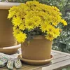 Untersetzer d= 14cm für Pflanzkübel Zylinder d= 15cm Farbe Produktbild-Vorschau 3