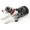 Hundehalsband Hunter Softie Rosa (36-44 cm) Produktbild-Vorschau 5