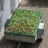 Siatka na przyczepę Relaxdays, siatka bagażowa, do Podgląd zdjęcia produktu 2
