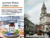DR WAKDE'S Brahmi & Shankhpushpi Kapseln | 60 Vegi Caps | Produktbild-Vorschau 10