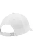 FLEXFIT Curved Classic Snapback Podgląd zdjęcia produktu 19