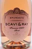 Scavi & Ray PROSECCO Rosé DOC 11% Vol. 0,75l Produktbild-Vorschau 5