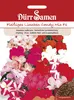 Dürr-Samen - Fleißige Lieschen Mischung F1 einjährig 35 cm Produktbild-Vorschau 1