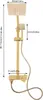 A diagram showing the dimensions of a gold shower system. Produktbild-Vorschau