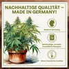 Green Home Grow Erde All Mix 72 L – Erde für Wachstum, Produktbild-Vorschau 7