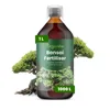 Bonsai Tekuté Hnojivo 1 L – 2-1-8 NPK – Pro Bonsai & Náhled obrázku produktu 1