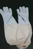 Top Imkerhandschuhe Größe 12 | echtes Leder, Lammnappa | Produktbild-Vorschau 2