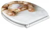 SANILO® WC-bril met zachte sluiting en snelsluiting, Productafbeelding-voorbeeld 5