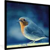 MuchoWow® Gerahmtes Poster Rotkehlchen - Blau - Schnee Produktbild-Vorschau 1