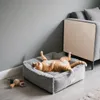 An orange cat is lying on its back in a gray cat bed next to a sofa. A cat toy is on the floor. Produktbild-Vorschau