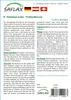 SAFLAX - Himalaya Zeder - Cedrus deodara - 35 Samen Produktbild-Vorschau 6