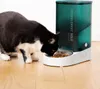 A black and white cat eating from an automatic pet feeder. Produktbild-Vorschau