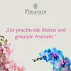 Floravera Premium Orchideen Flüssigdünger 2 x 1 Liter Produktbild-Vorschau 2