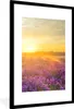 MuchoWow® Gerahmtes Poster Lavendel - Sonnenuntergang - Produktbild-Vorschau 1