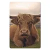 MuchoWow® Mauspad Mousepad Schottischer Highlander - Tiere Produktbild-Vorschau 1