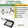 Käfer Klebefalle -1x Falle- Wirksam Käfer bekämpfen, Mittel Produktbild-Vorschau 2