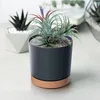 A close-up shot of a potted plant with a pen inserted into it, placed on a light-colored surface. Náhľad obrázku produktu