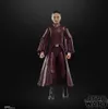 A Star Wars action figure of Padmé Amidala is shown standing against a black background. Náhled obrázku produktu