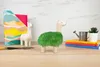 Two ceramic llama figures are displayed on a wooden surface. One llama is plain white, while the other is covered in green sprouts, resembling a grassy coat. Various gardening items and books are arranged around them. Voir les images du produit