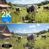 4G LTE Überwachungskamera Aussen Solar mit SIM Karte 2K HD Produktbild-Vorschau 8