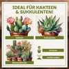 Green Home Kakteen & Sukkulenten Erde 72 L – mit Perlit, Produktbild-Vorschau 4