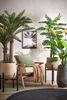 Mica Decorations Ascot Support pour plantes XL - L46 x l46 Voir les images du produit 8