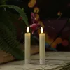 Two LED candles are placed on a wooden surface with a fern and blurred flowers in the background. Produktbild-Vorschau