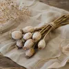 Mohnkapseln getrocknet 150 g ca. 60 cm Papaver Produktbild-Vorschau 7
