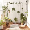 A balcony decorated with plants and a cat. Produktbild-Vorschau