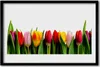 Bild 60x40 MDF-Rahmen Wandkunst Pflanze Tulpen Produktbild-Vorschau 1