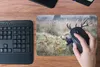 MuchoWow® Mauspad Mousepad Hirsch - Vogel - Wald 27x18 cm - Produktbild-Vorschau 4