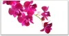 Tulup Leinwand-Bilder 140x70 Wandbild Canvas Kunstdruck Produktbild-Vorschau 1