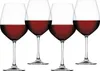 Spiegelau Salute Burgunder Set/4 4720170 Anteprima dell’immagine prodotto 6