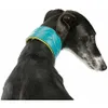 Trixie Collier en cuir ACTIVE Comfort pour Greyhounds - Voir les images du produit 11