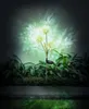 GLOBO 33599G, Edelstahl, Kunststoff, III, IP44, LED, 0,06 Produktbild-Vorschau 4