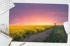 MuchoWow® Schreibtischunterlage Blumen - Straße - Himmel - Produktbild-Vorschau 5