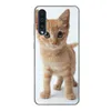 A ginger kitten stands on a white background, looking directly at the camera. The image is a product shot for a phone case. Produktbild-Vorschau