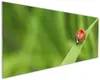 Wallario Küchenrückwand aus Glas, Größe: 125 x 50 cm, Produktbild-Vorschau 1