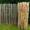 Staketenzaun Gartenzaun Zaunlatte Holzzaun Haselnussholz Produktbild-Vorschau 3