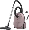 A pink AEG vacuum cleaner with its accessories displayed against a white background. Produktbild-Vorschau