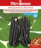 Dürr-Samen - Stangenbohnen Blauhilde - Saatgut - 0317 Produktbild-Vorschau 2
