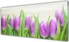 Acrylglasbilder 125x50 Wandbild Druck Tulpen Pflanzen Produktbild-Vorschau 1
